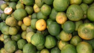 diabetes control by citrus fruits