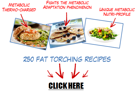 fat loss diet recipe